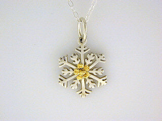 N111  Snowflake with Medium Necklace