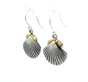 EW021  Earrings featuring Silver Shells and Alaskan Gold Nuggets on the Earwires.