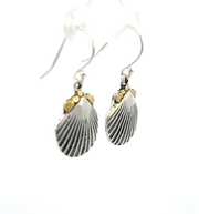 EW021  Earrings featuring Silver Shells and Alaskan Gold Nuggets on the Earwires.