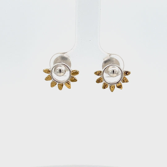 EJ403SN Gold Nugget & Silver Circle Earring Post