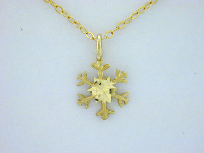 N364  Snowflake with 14kt Necklace