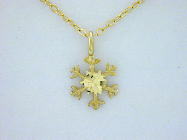 N364  Snowflake with 14kt Necklace